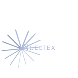 nueltex.info favicon